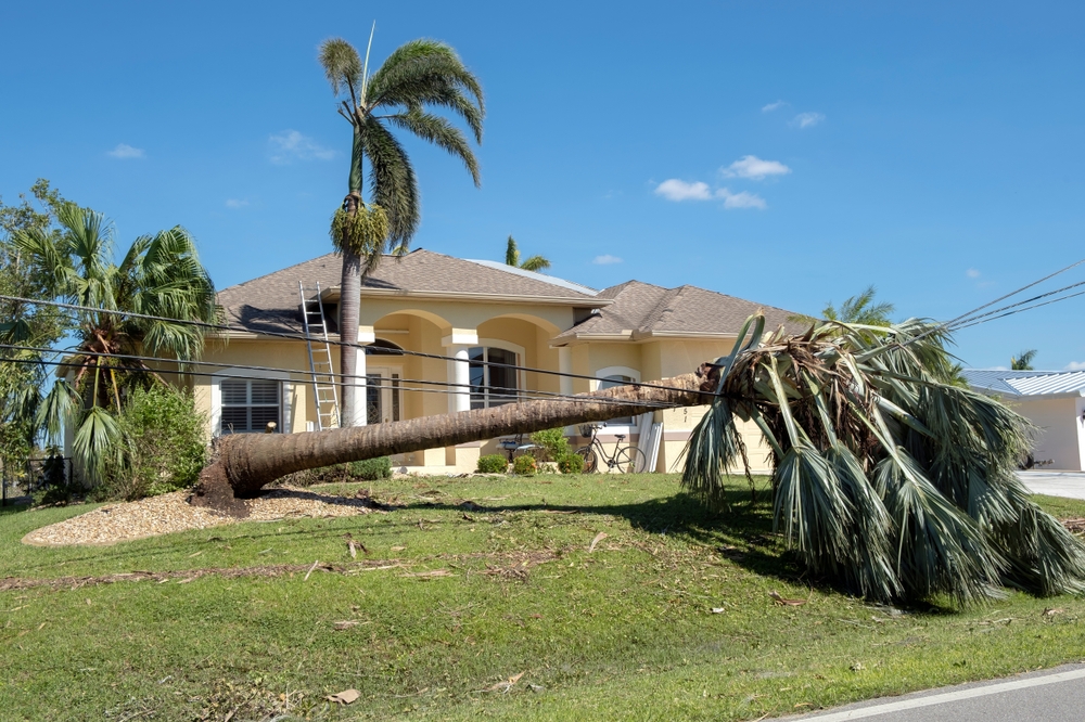 What is a Virtual Power Plant?